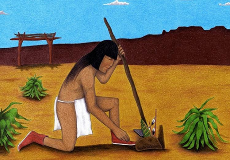 Image Hopi planting corn