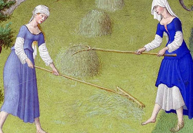 Detail from the Calendar page for June, the Book of Hours; ( Les Tres  Riches Heures du Duc de Berry)