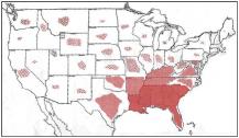 NAACP Blots of Shame map showing distribution of lynchings in the U.S.