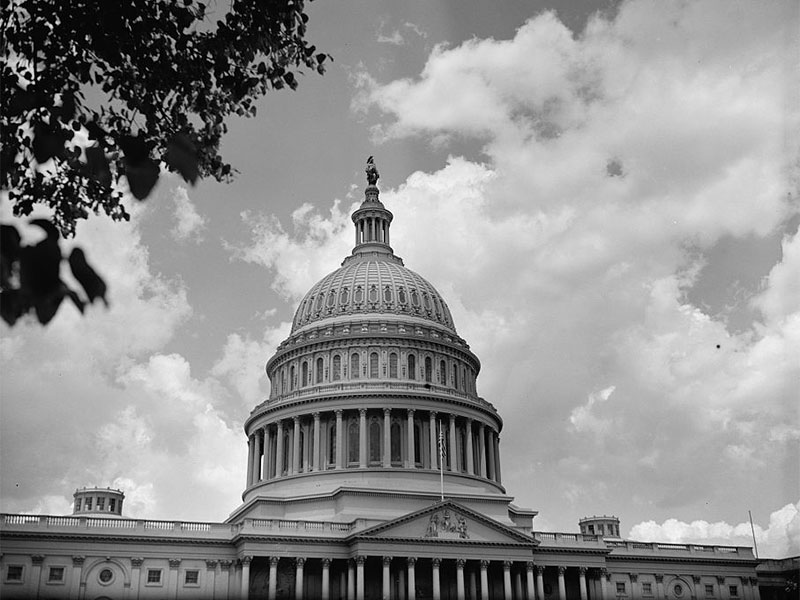 What Is The Function Of Committees In The Congressional Legislative Process