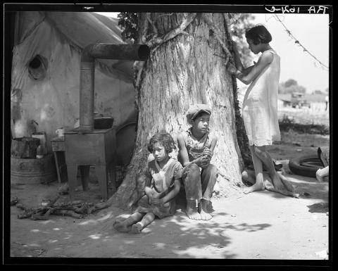 Motherless migrant children. They work in the cotton