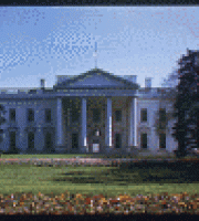 The White House