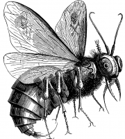 Beelzebub as depicted in Collin de Plancy's Dictionnaire Infernal (Paris, 1863)
