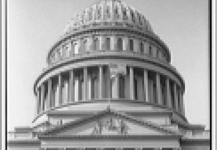 Statue of Freedom set atop the Capitol Dome in Washington DC NEH