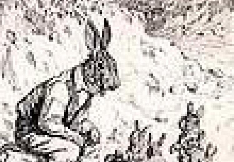 Illustration from "A Tale About Little Rabbits."