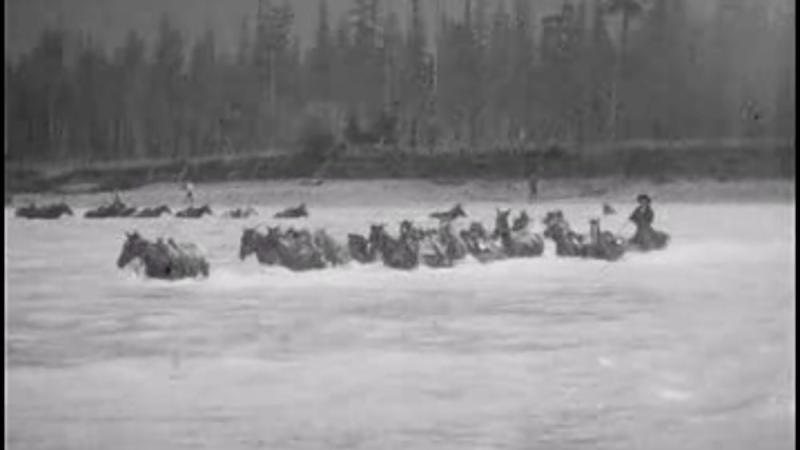 1928 Summer Outing, Pack Train Crossing the Skagit River.
