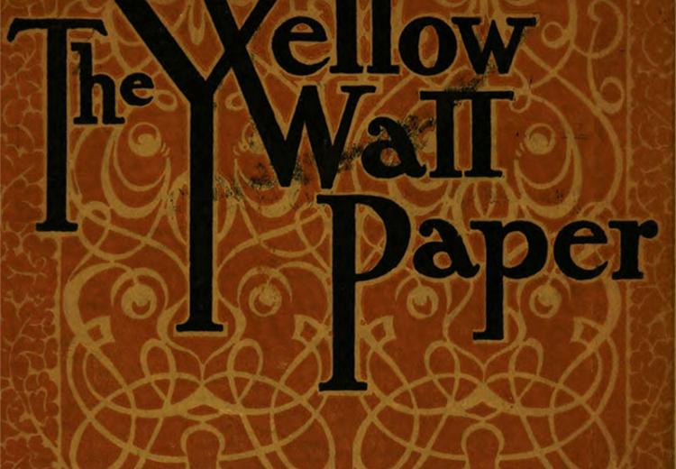 Literary Elements in Gilmans The Yellow Wallpaper  Free Essay Example