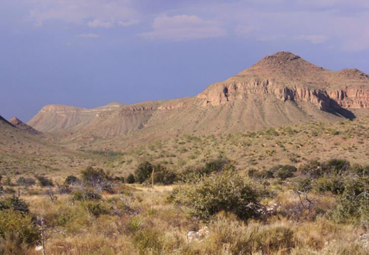 Chihuahua Desert near Sierra Blanca, Texas.