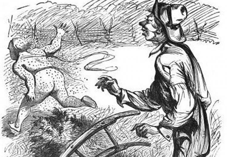 Illustration accompanying George Washington Harris's short story, 'Sut Lovingood's Daddy, Acting Horse.'