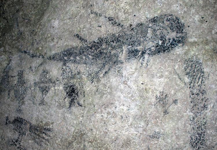Cave drawings in Fels Cave, Lelepa Island.