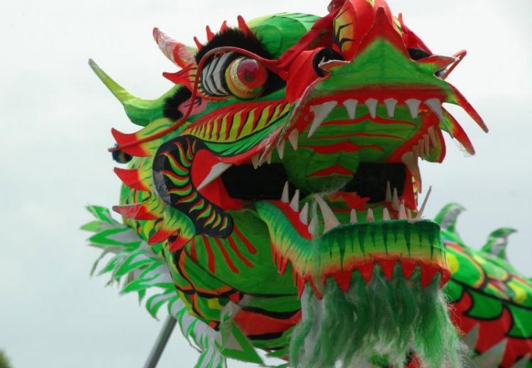 Chinese dragon in a dragon-dance for Chinese New Year.