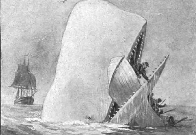 Illustration from an early edition of Moby Dick, 1892.