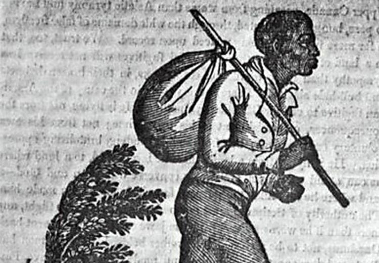 Whipping of Enslaved People, Nature & Impact